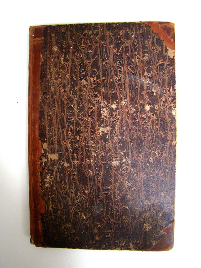 A collection of Ships' papers, etc., relating to Cape Cod Sea Captain Freeman Snow of Brewster — image 3